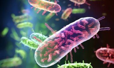 जापान में मांस खाने वाले बैक्टीरिया का कहर:मात्र 48 घंटे में मौत हो जाती है; जानिए कैसे फैलता है, किसे अधिक खतरा