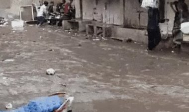 नवसारी से मानसून आगे बढ़ने के आसार बने:आगामी 5 दिनों में दक्षिण गुजरात में जोरदार बारिश होने की संभावना