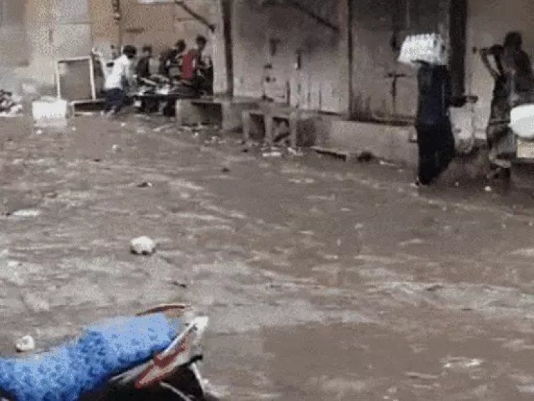 नवसारी से मानसून आगे बढ़ने के आसार बने:आगामी 5 दिनों में दक्षिण गुजरात में जोरदार बारिश होने की संभावना