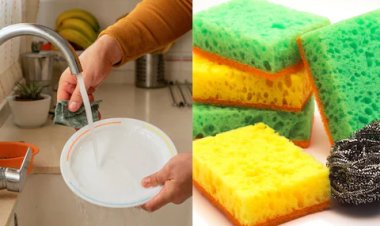 क्या बर्तन धोने वाले स्क्रब, स्पॉन्ज को महीनों करते हैं इस्तेमाल? हो जाएगी ये 2 समस्या, जानें कितने दिनों तक करें यूज, कब बदलें