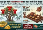 सोने से भी महंगी है यह चाय! 9 करोड़ रुपये किलो वाली 'दा होंग पाओ' की पूरी कहानी